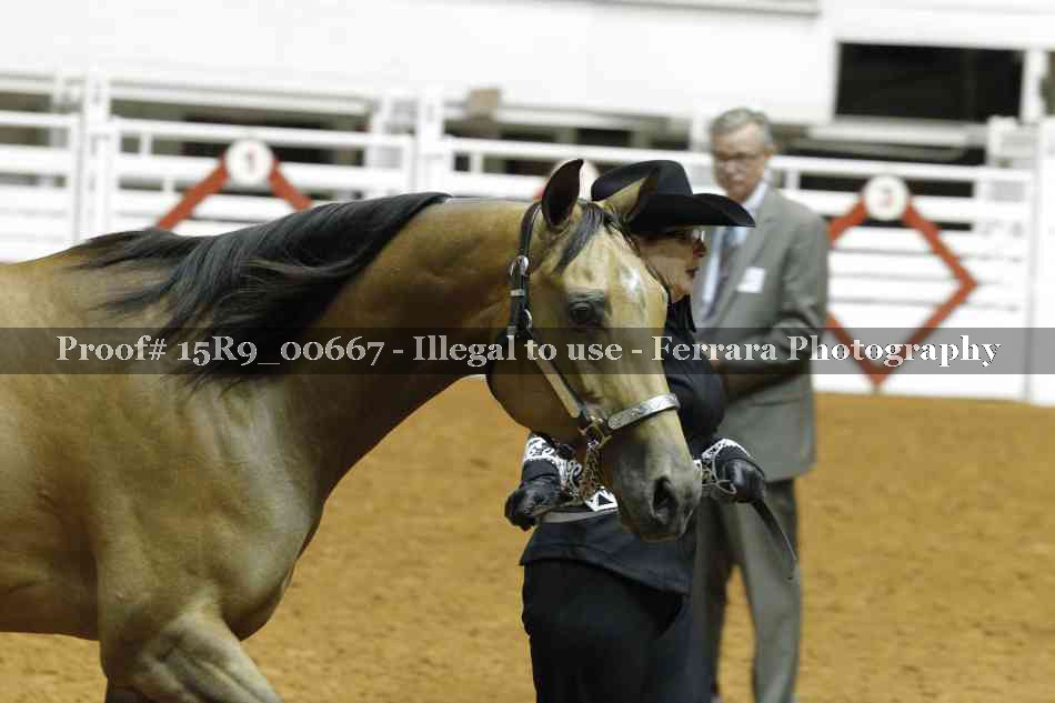 Proof 15R9_00667