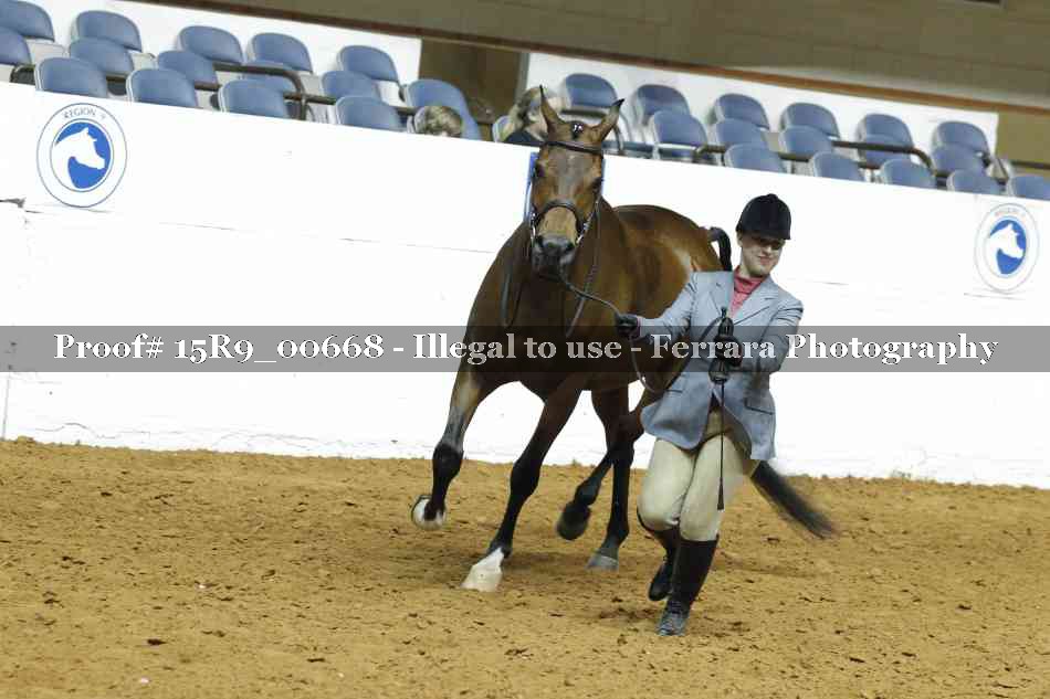 Proof 15R9_00668