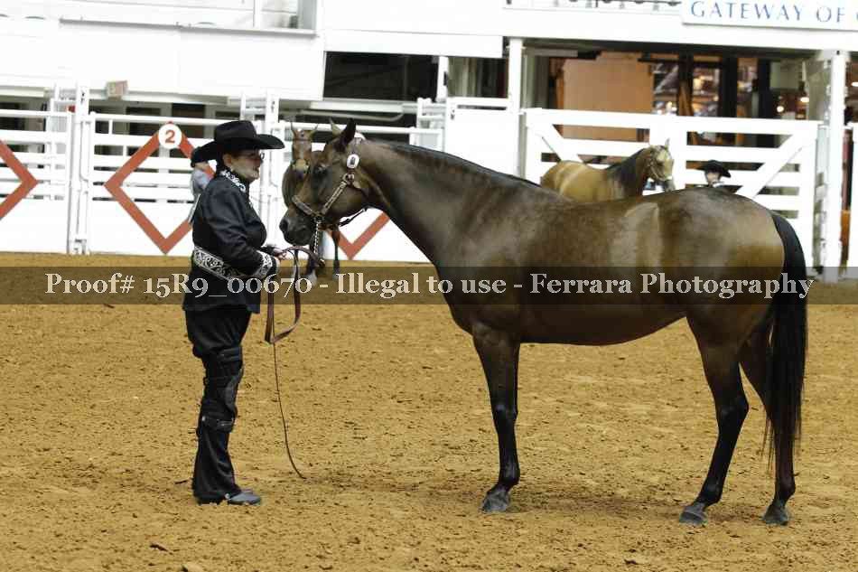 Proof 15R9_00670
