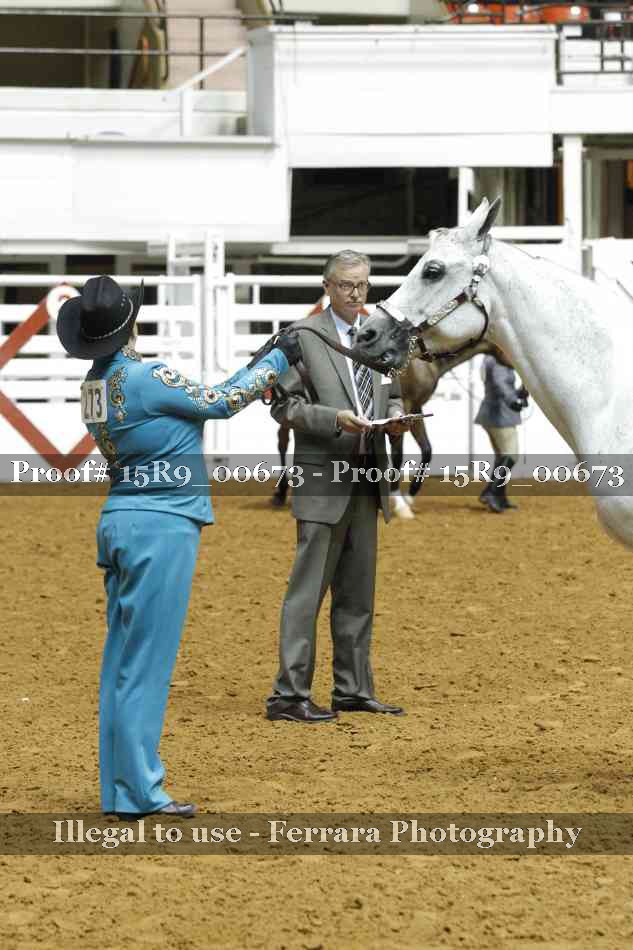 Proof 15R9_00673