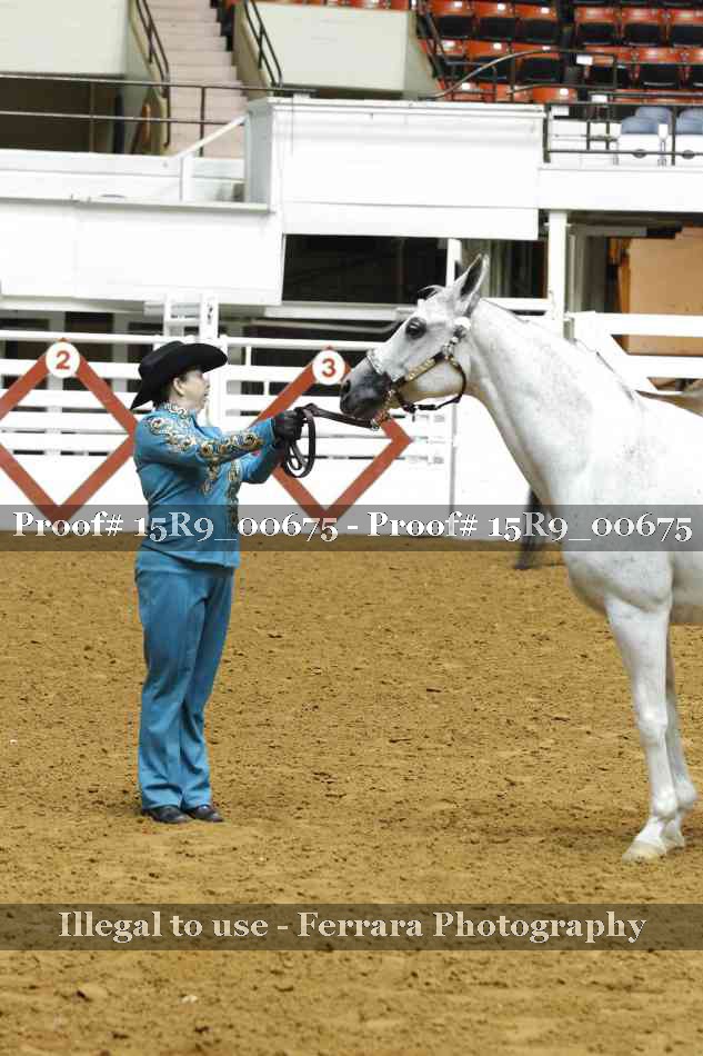 Proof 15R9_00675