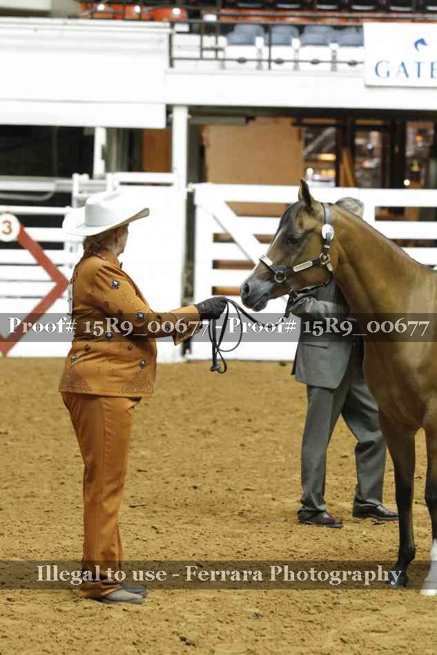 Proof 15R9_00677