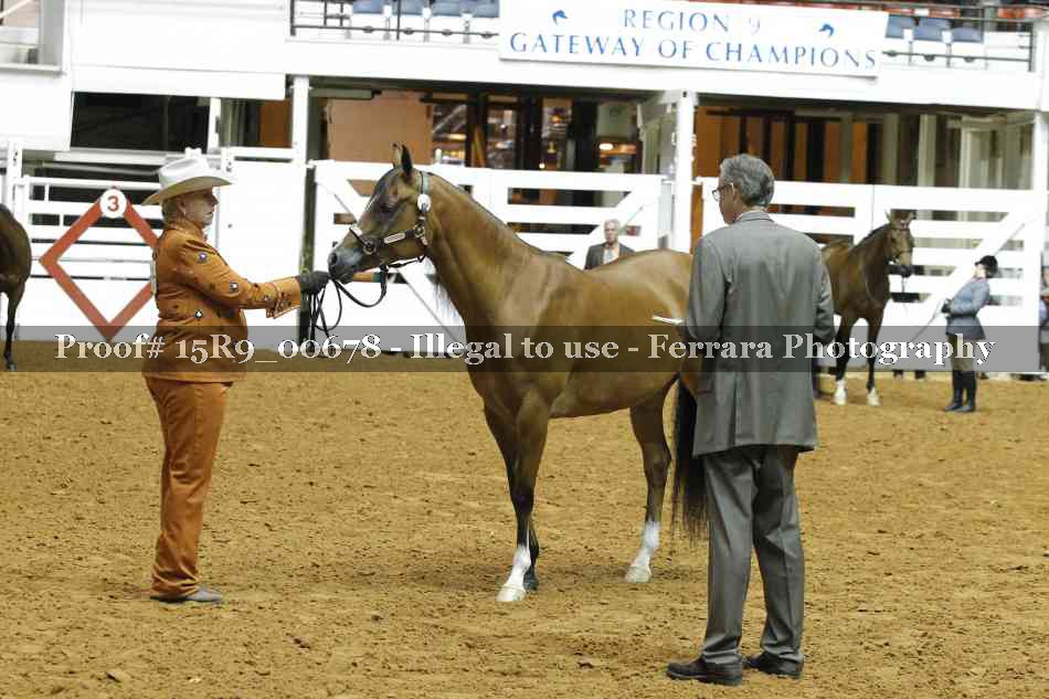 Proof 15R9_00678