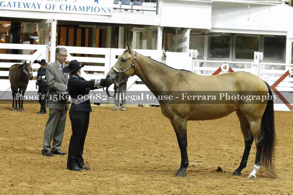 Proof 15R9_00682