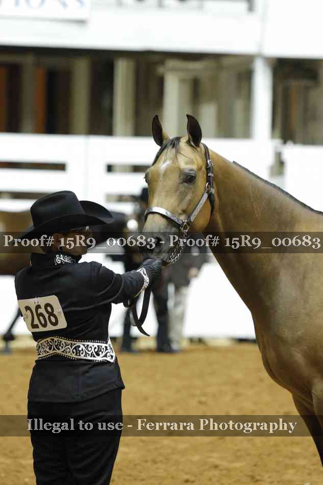 Proof 15R9_00683