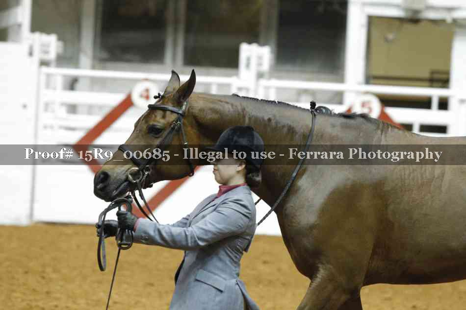 Proof 15R9_00685