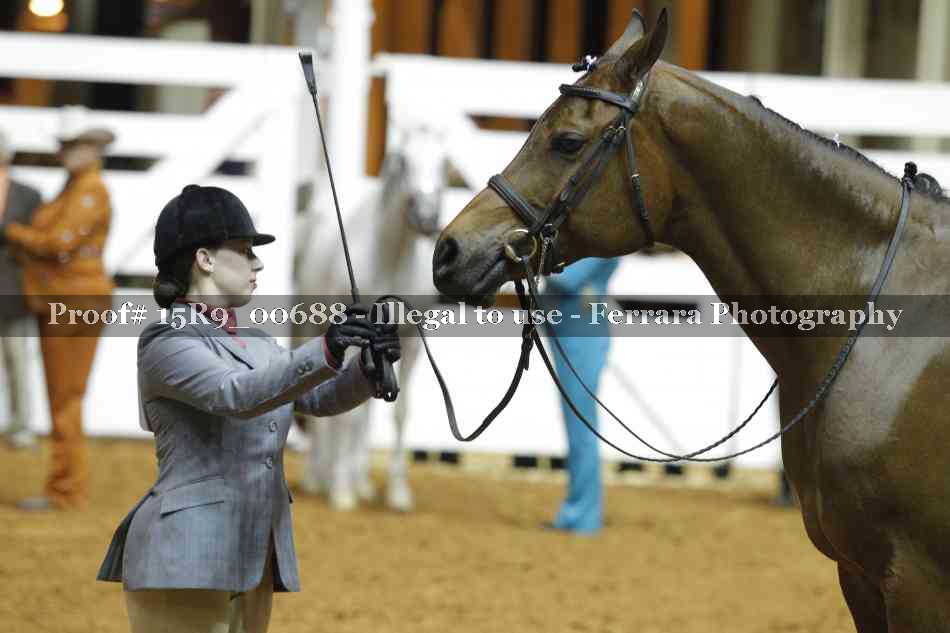 Proof 15R9_00688