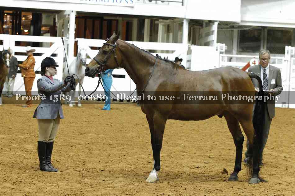 Proof 15R9_00689
