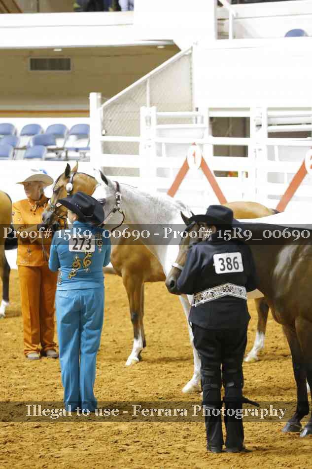 Proof 15R9_00690