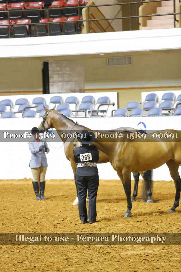 Proof 15R9_00691