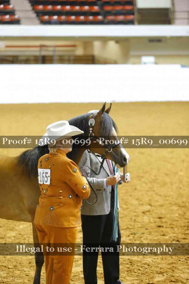 Proof 15R9_00699