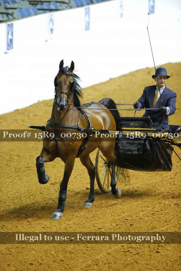 Proof 15R9_00730