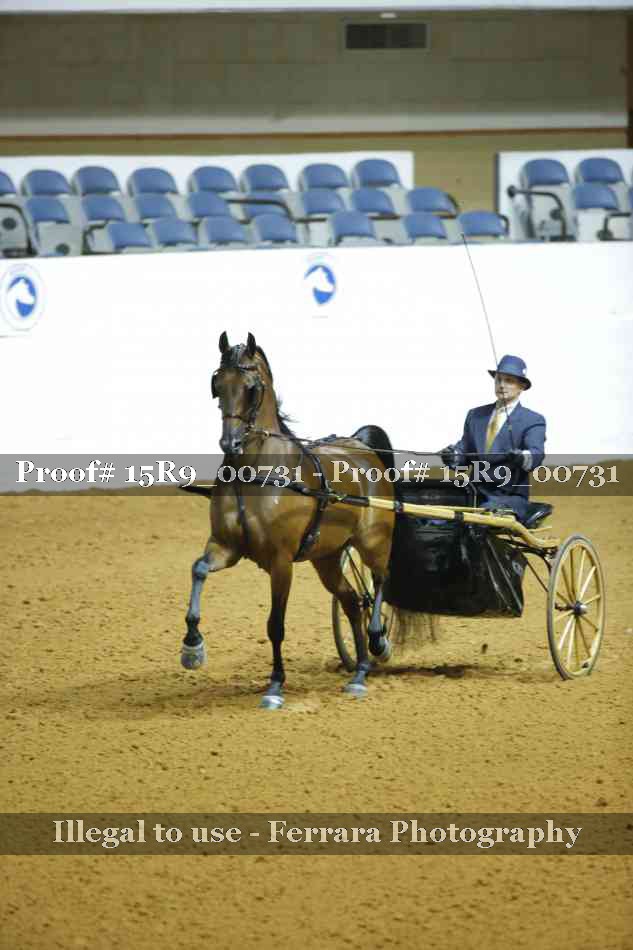Proof 15R9_00731
