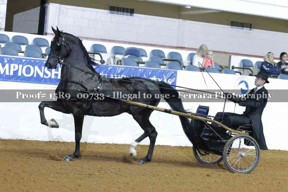 Proof 15R9_00733