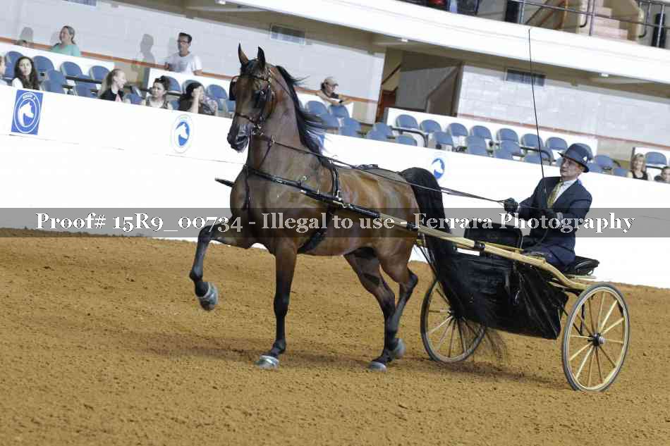 Proof 15R9_00734
