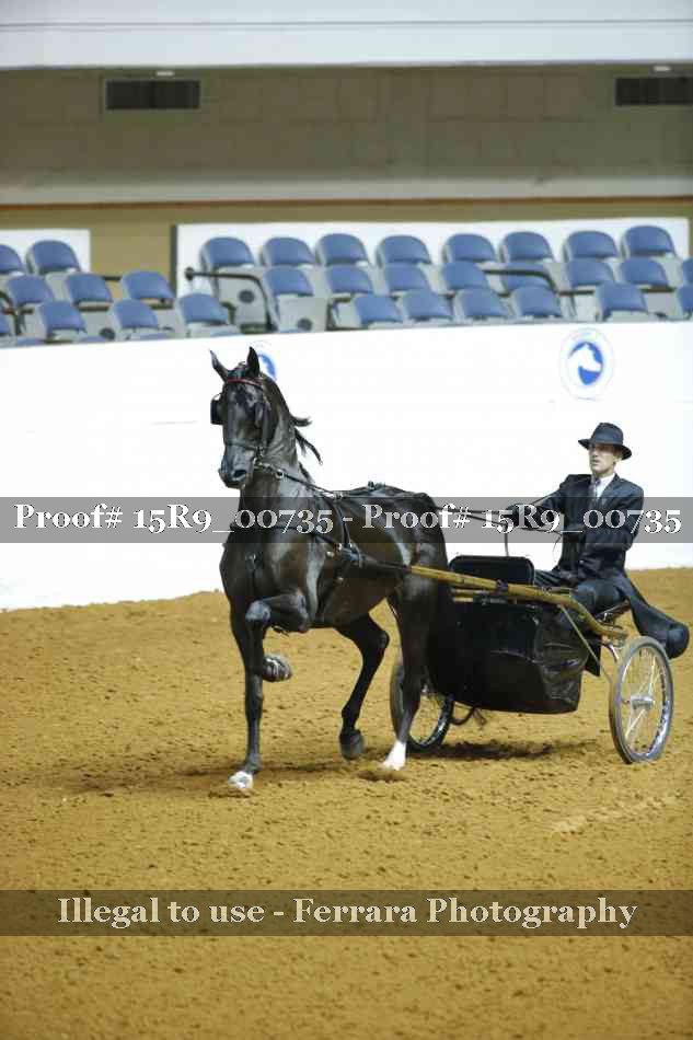 Proof 15R9_00735