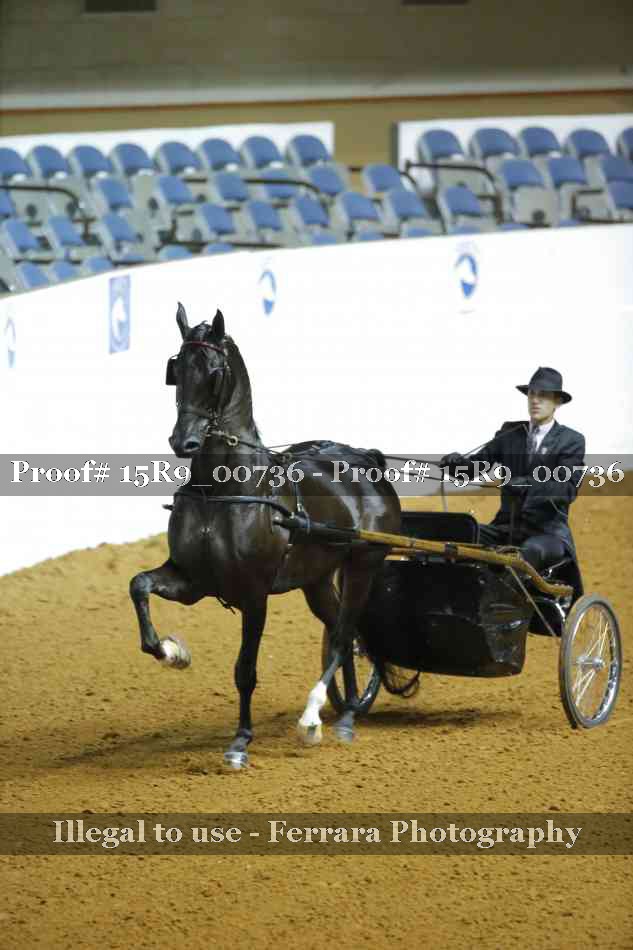 Proof 15R9_00736