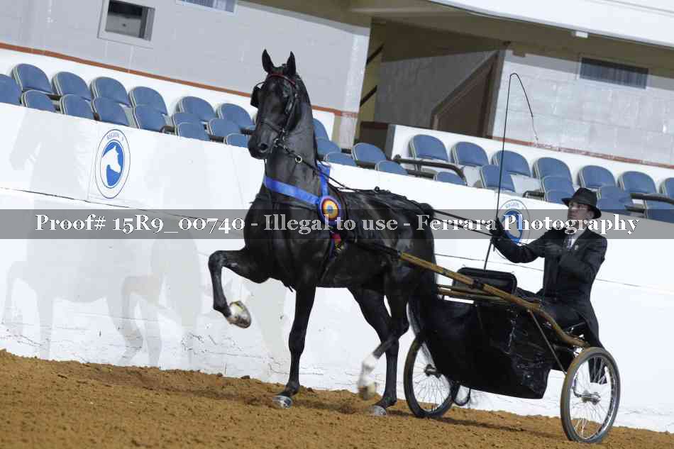 Proof 15R9_00740