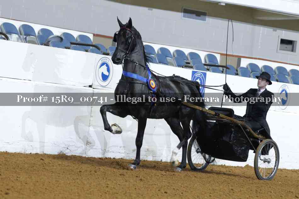 Proof 15R9_00741