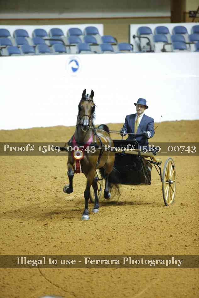 Proof 15R9_00743
