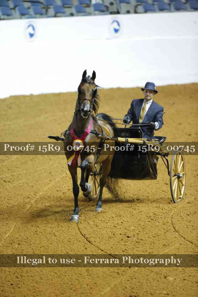Proof 15R9_00745