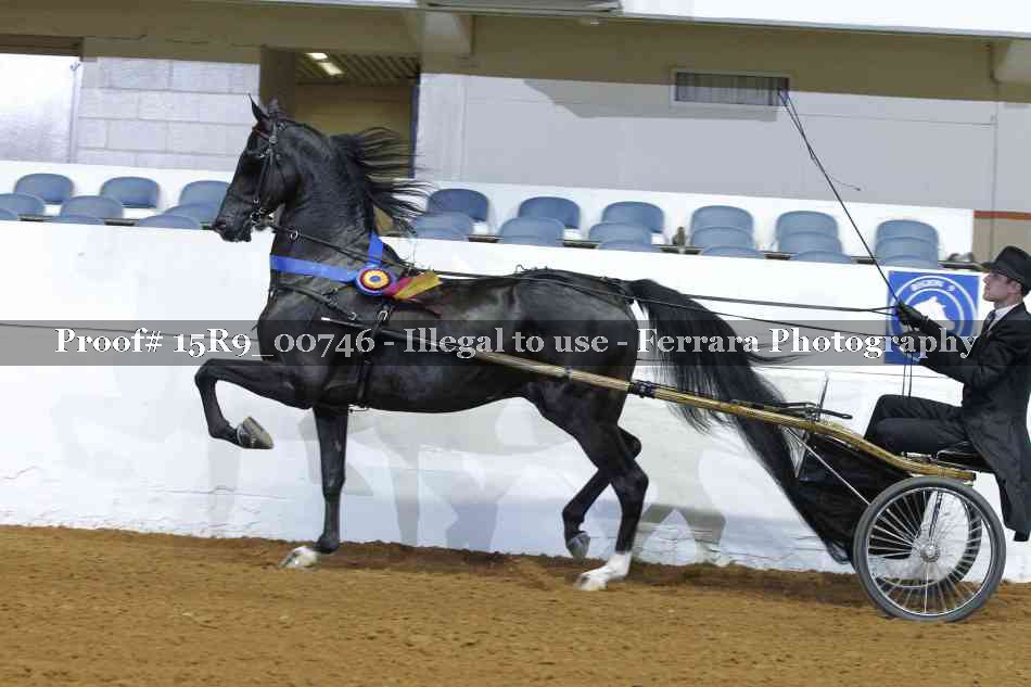 Proof 15R9_00746