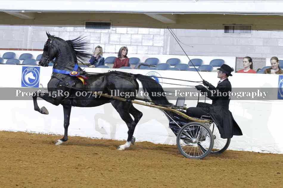 Proof 15R9_00747