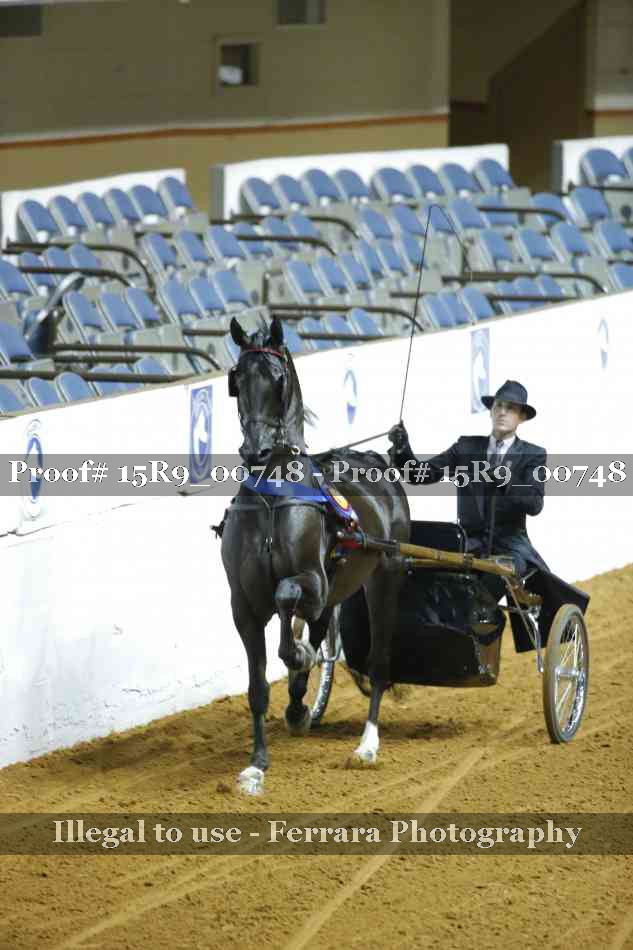 Proof 15R9_00748