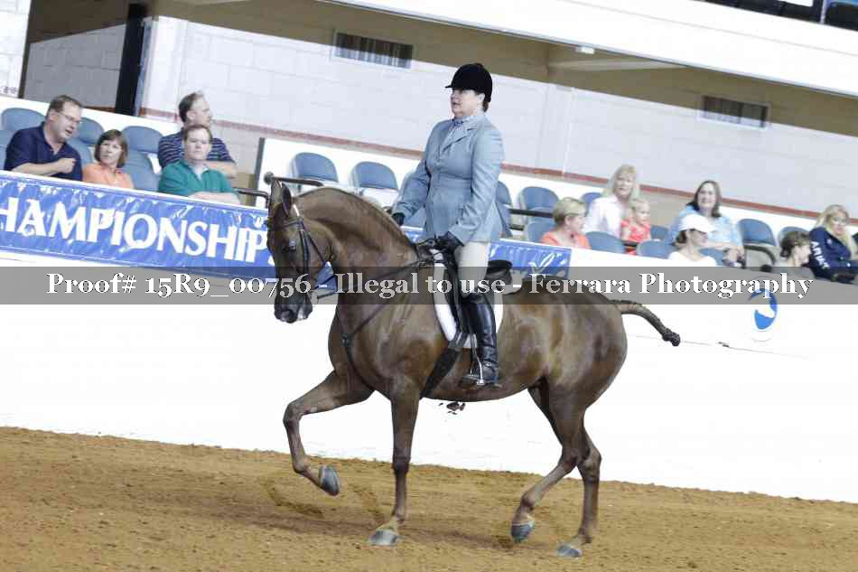 Proof 15R9_00756