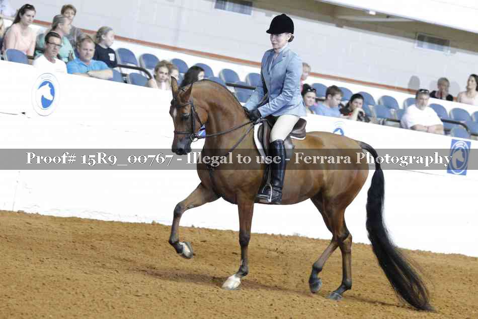 Proof 15R9_00767