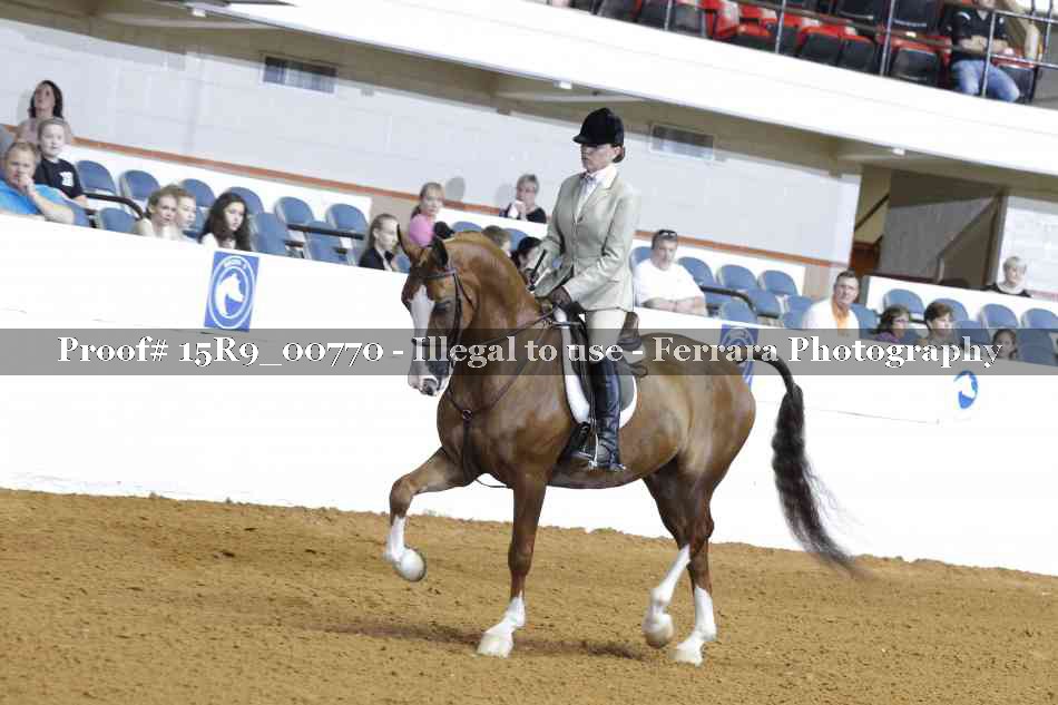 Proof 15R9_00770