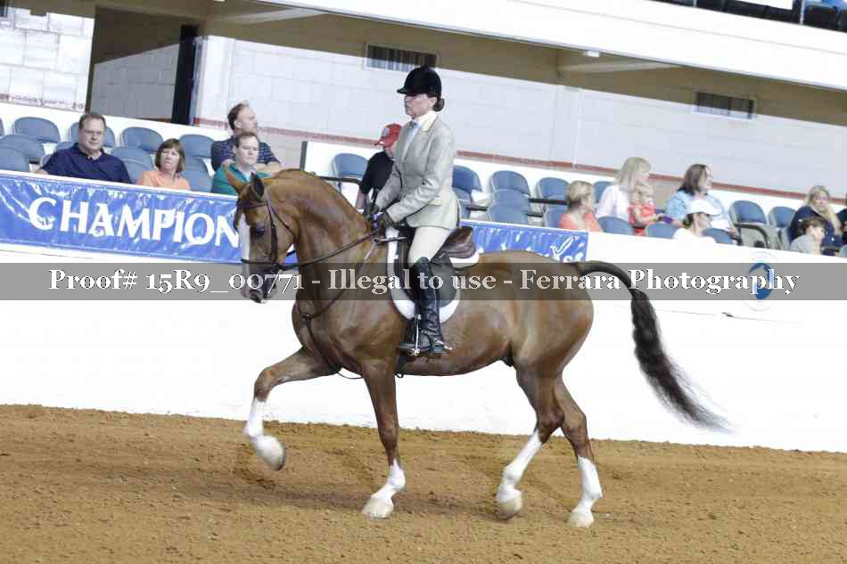 Proof 15R9_00771