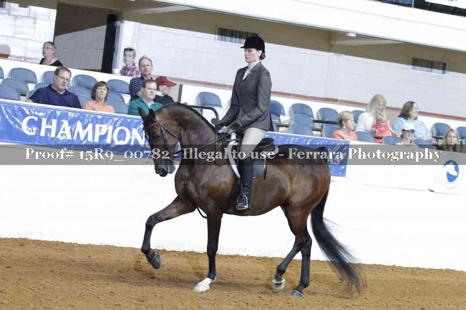 Proof 15R9_00782