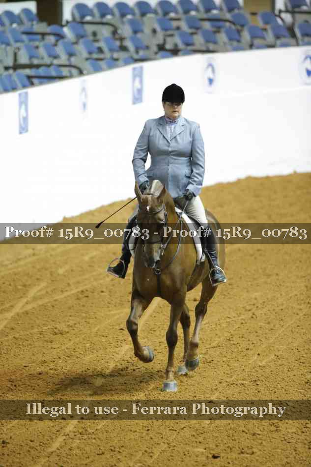Proof 15R9_00783