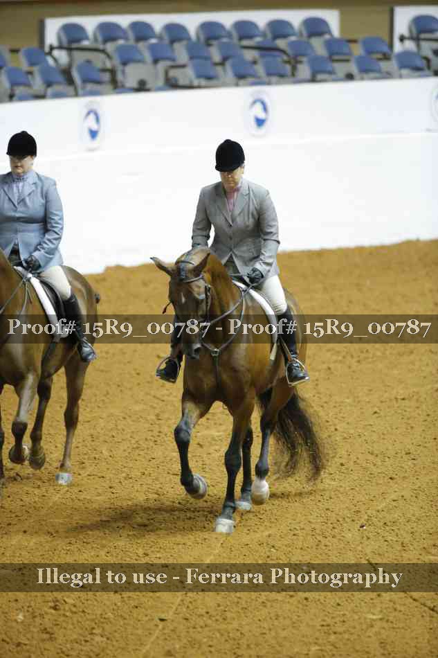 Proof 15R9_00787