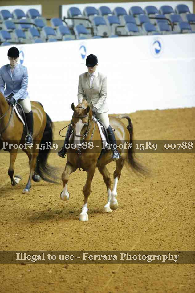 Proof 15R9_00788