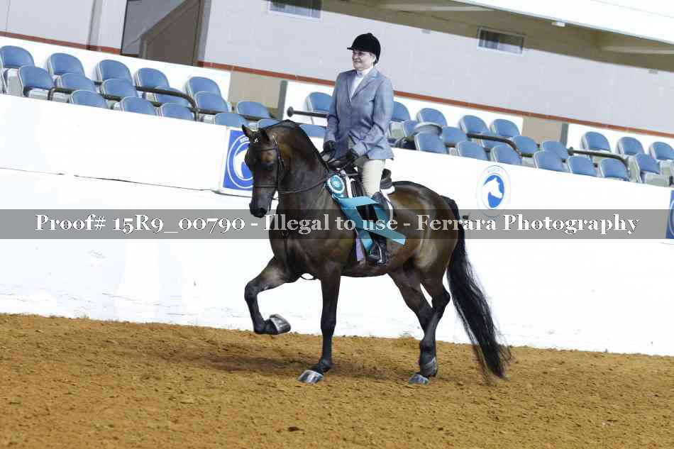 Proof 15R9_00790