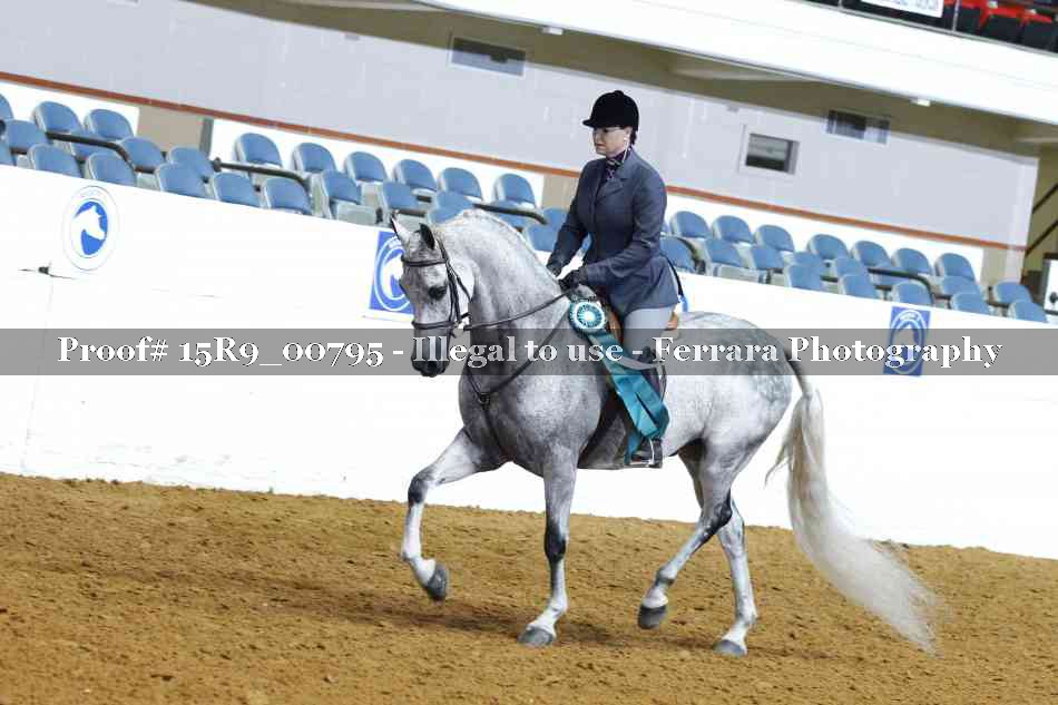 Proof 15R9_00795