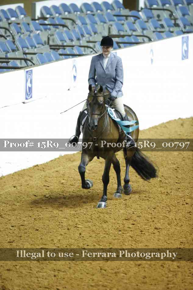 Proof 15R9_00797