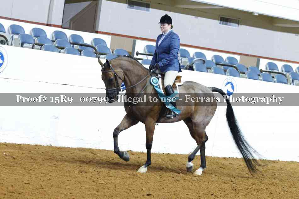 Proof 15R9_00799