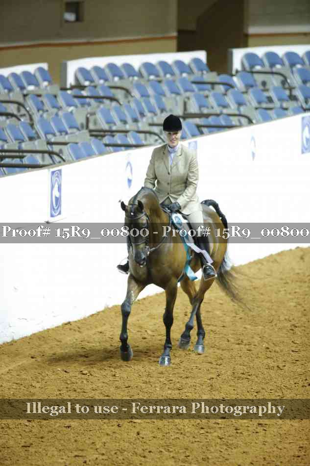 Proof 15R9_00800