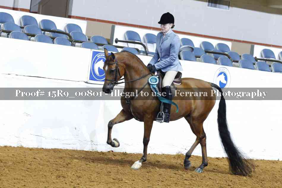 Proof 15R9_00801