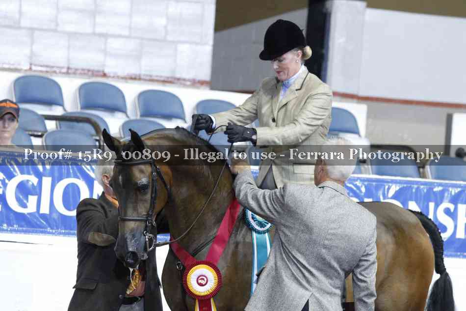 Proof 15R9_00809