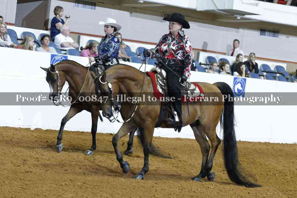 Proof 15R9_00847