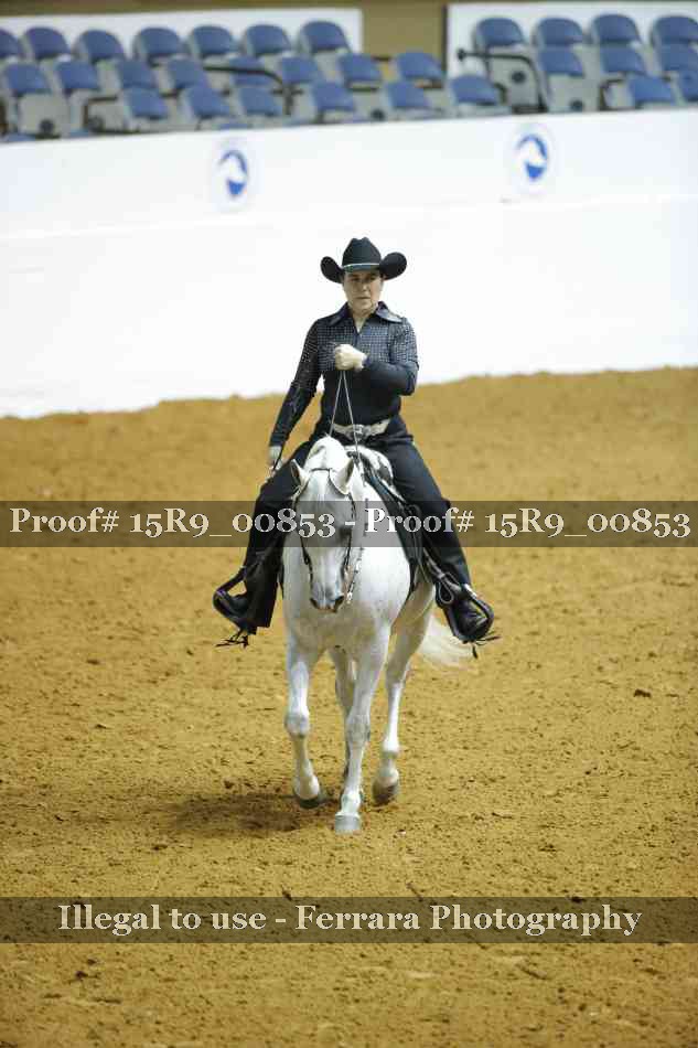 Proof 15R9_00853