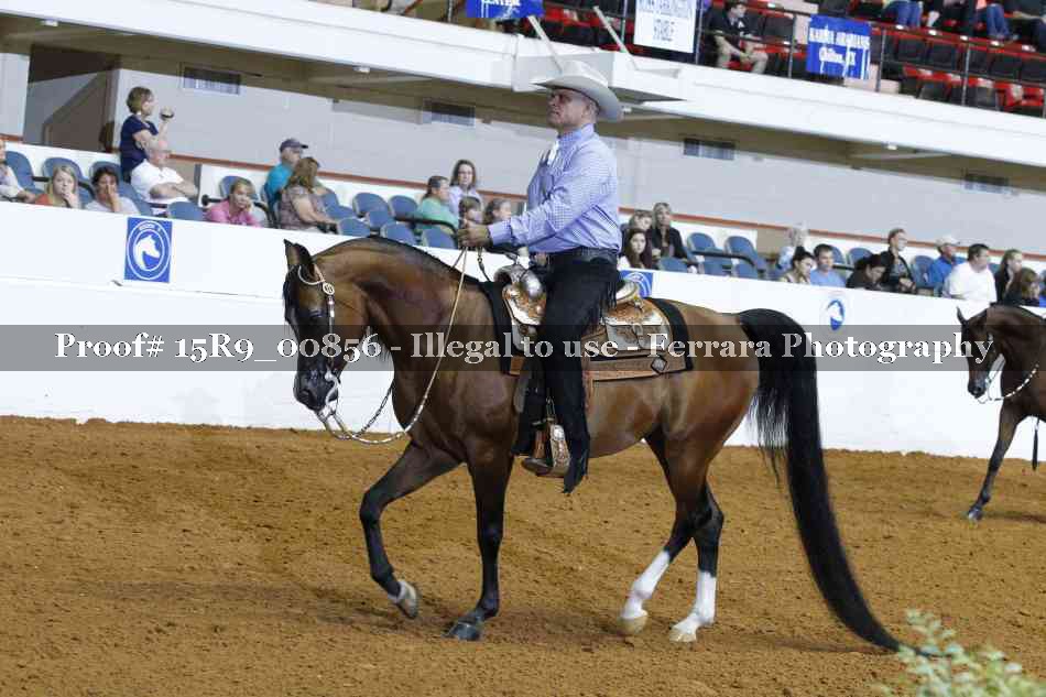 Proof 15R9_00856