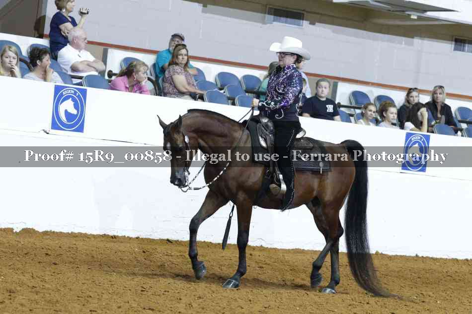 Proof 15R9_00858