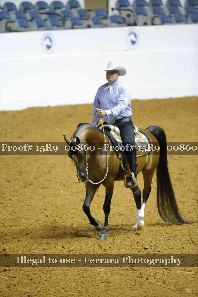 Proof 15R9_00860