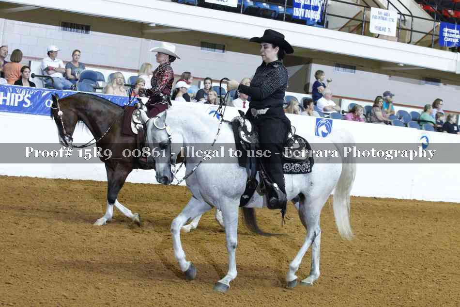 Proof 15R9_00861