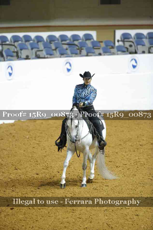 Proof 15R9_00873